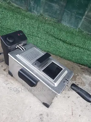 Deep Fryer Professional Deep Fryer Electric Commercial Fryer