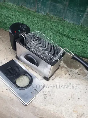 Professional Deep Fryer Industrial Deep Fryer Electric Fryer