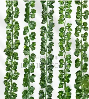 Vine Leaves / Creeping Plants