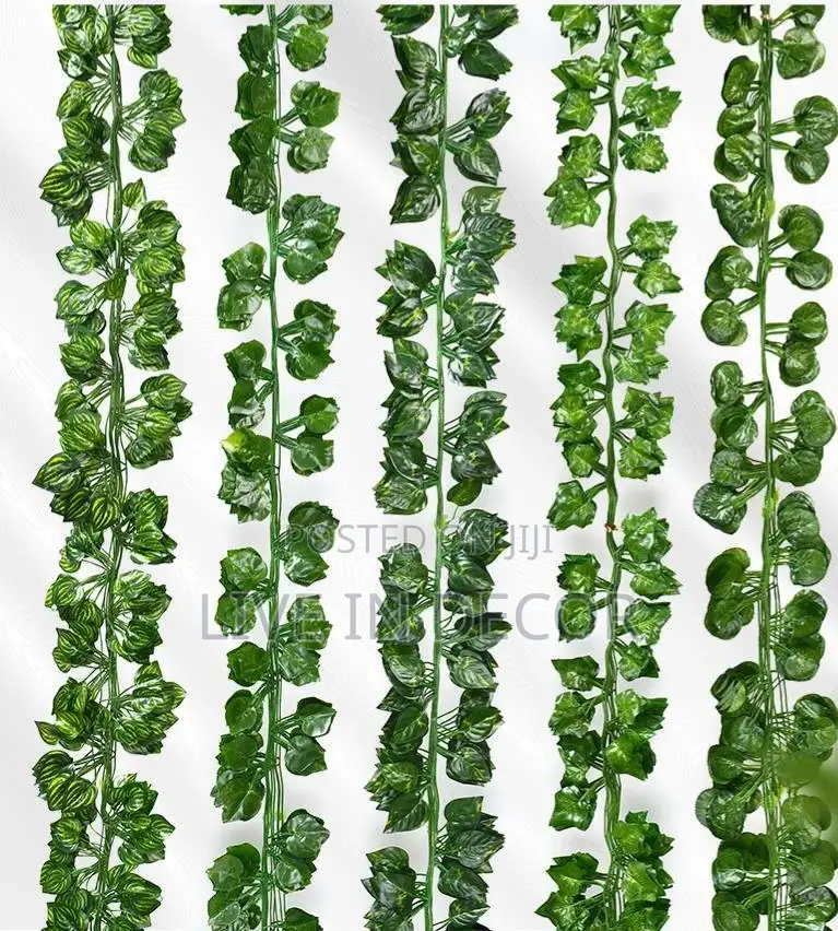 Vine Leaves / Creeping Plants