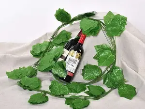 Vine Leaves / Creeping Plants