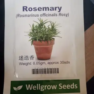 All Seeds Are Available