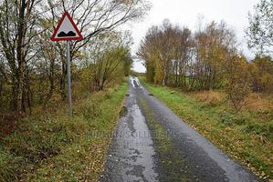 Warning Traffic Sign, Uneven Road