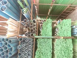 Plumbing Pipe