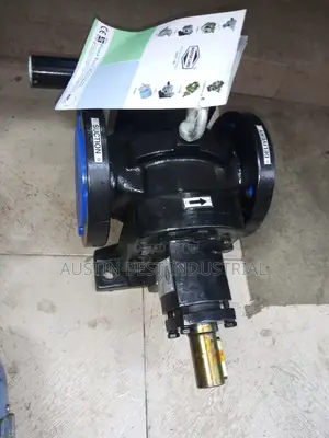 Rotary Gear Pumps Model FTRB300L.