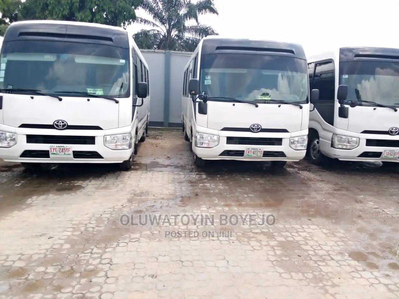 Toyota Coaster Bus for Hire