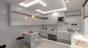 Modern Kitchen and Accessories