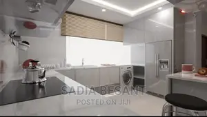 Modern Kitchen and Accessories