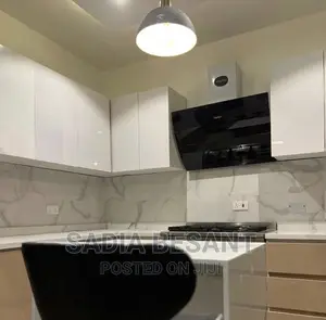 Contemporary Kitchen and Accessories