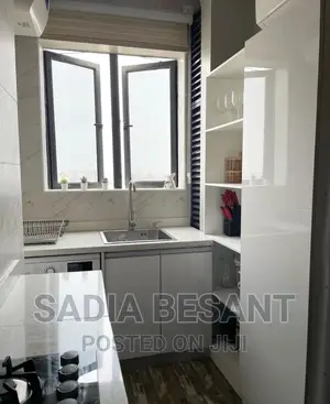 Kitchen Design and Accessories