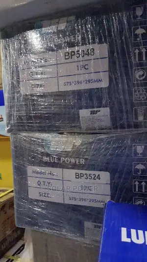 Blue Power Inverter 2.5kva 24v