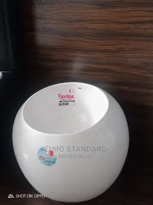 Wall Hung Egg Shape Basin
