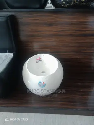 Wall Hung Egg Shape Basin