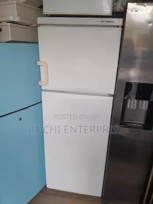 Miele Fridge and Freezer