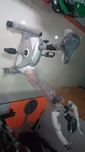 Magnetic Small Exercise Bike