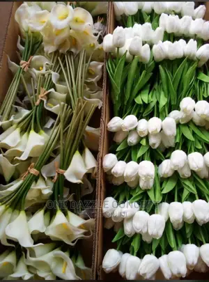 Real Touch Tulips/ Lillies