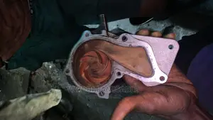 Water Pump Escape 1.6 2013