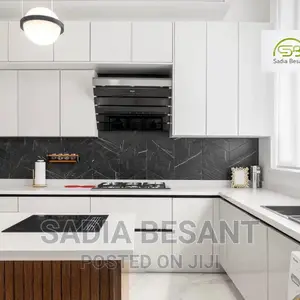 Contemporary Kitchen Cabinets and Accessories