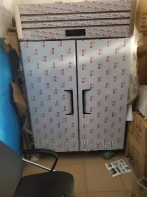 2 Door Industrial Freezer Upright
