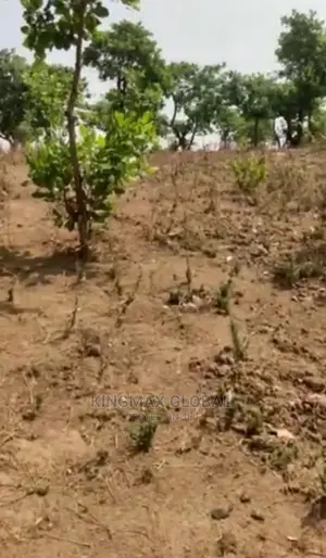 Maitama 11 Plot for Sale. Size:1,807sqm