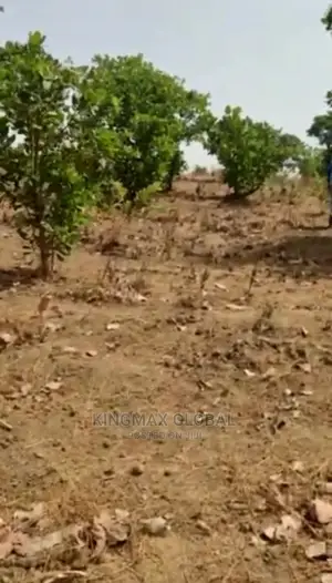 A Land Measuring 5001sqm in Good Location Is Out for Sale