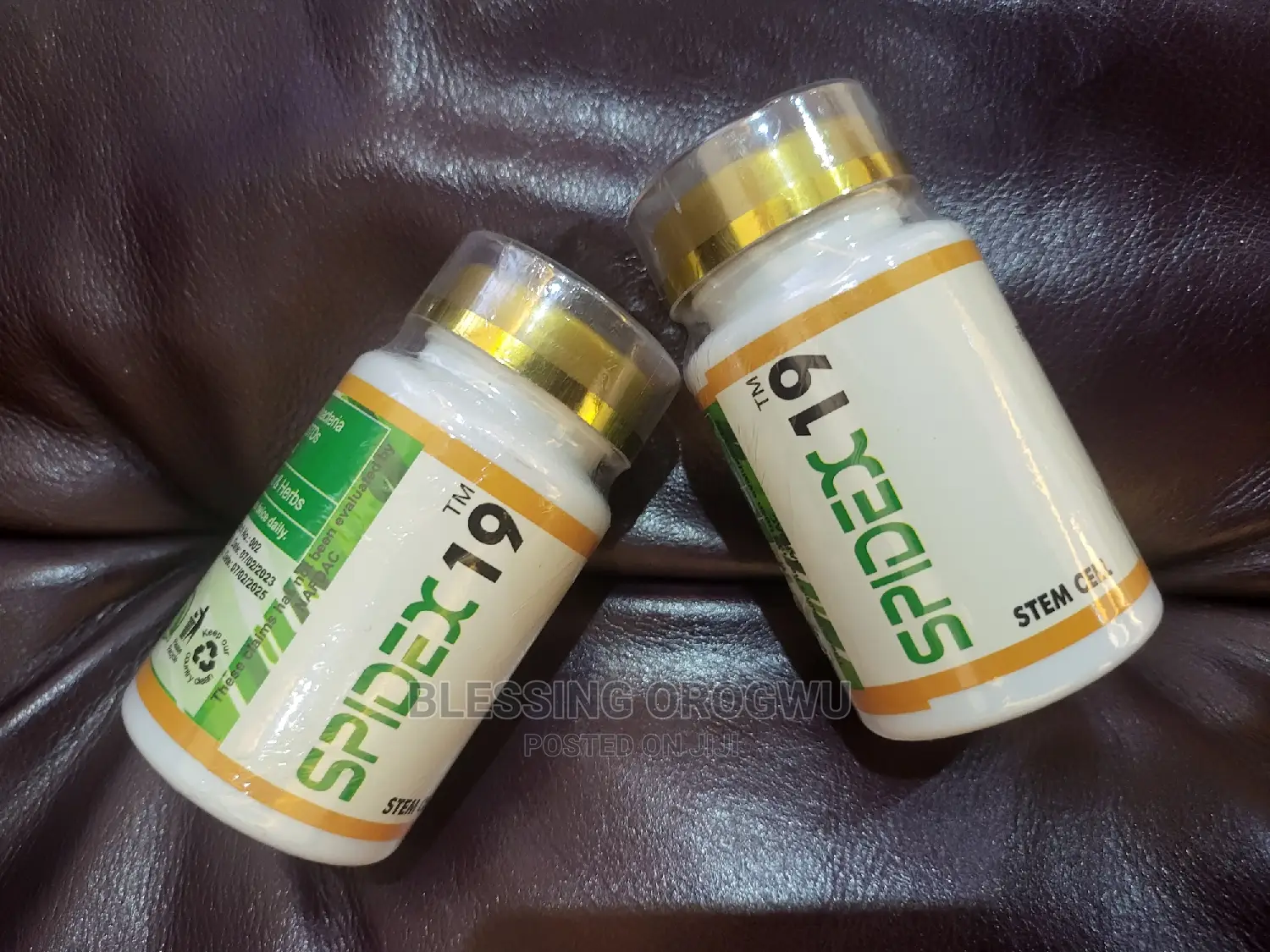 Boost Your Immune System With Spidex19