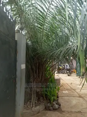 Tree Planting Service.
