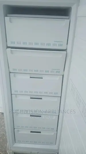 Standing Freezer Privilege Freezer Made in Germany