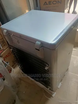 Quality Skyrun Deep Freezer With 2years Warranty 100L Silver