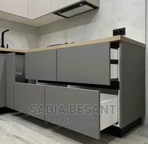 Contemporary Kitchen Cabinets and Accessories