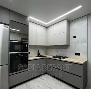 Contemporary Kitchen Cabinets and Accessories