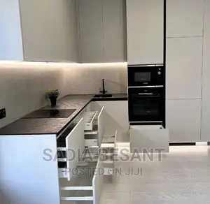 Contemporary Kitchen Cabinets With Accessories