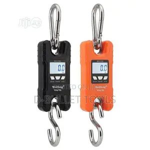 Crane Scale 500kg and 300kg
