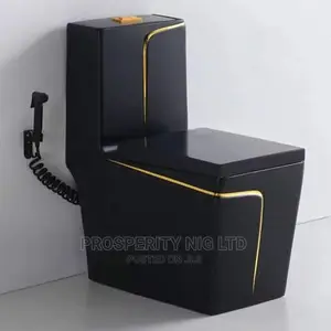 Black And Gold Executive WC