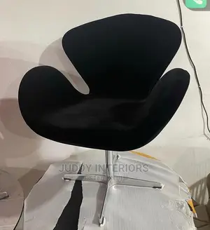 Lounge and Studios Chair