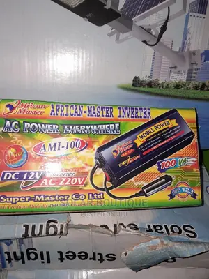 30w Car Inverter