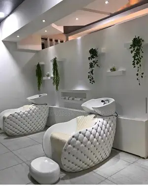 Shampoo Chair, Mirror With Chair and Spa Bowl