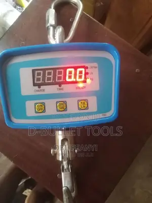 Crane Scale 500kg