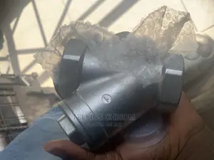 Strainer Valve 2”