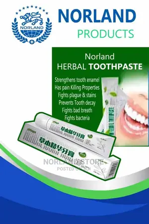 Healthy Norland Toothpaste