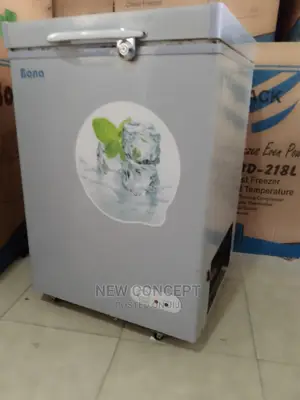Bona Solar Freezer 118 Liters Uses 1batteryto Start Working