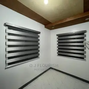 Window Blinds Shinny Grey Colour