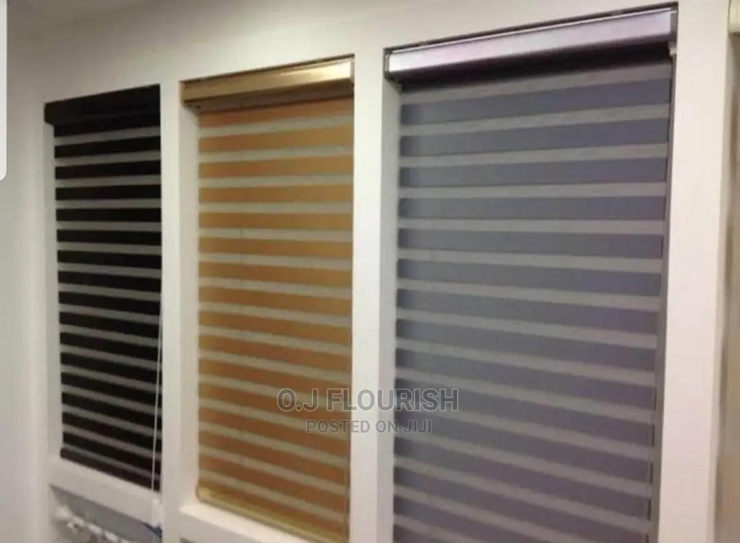 White Day and Night Window Blinds