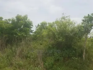 11,000 Acres of Land for Sale in Abeokuta Ogun State