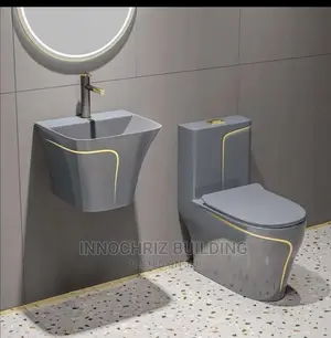 Executive WC With Hanging Basin