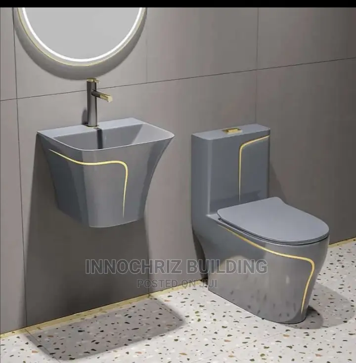 Executive WC With Hanging Basin
