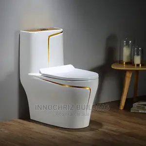 White And Gold Stripe WC
