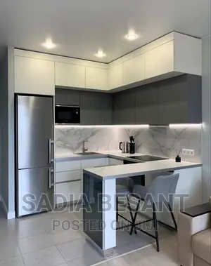 Contemporary Kitchen With Accessories