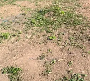 Demolishable Bungalow on Land Measuring Approx 1000sqm 4sale