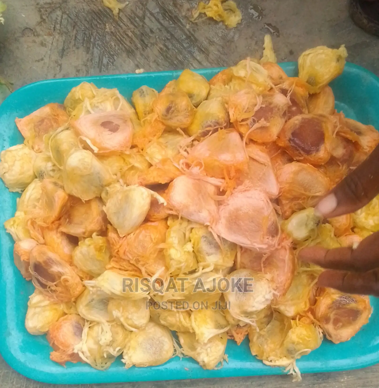 Ugu Ugwu Pumpkin Seedlings Seed